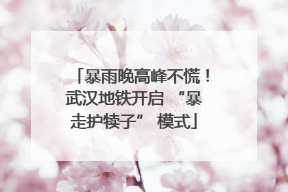暴雨晚高峰不慌！武汉地铁开启 “暴走护犊子” 模式